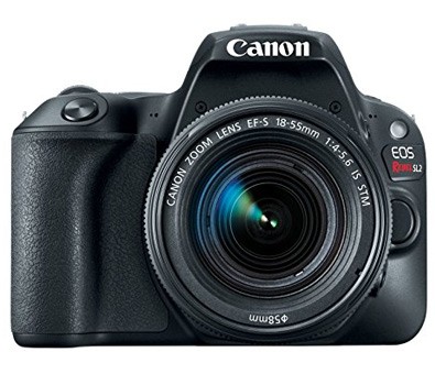 Best Canon SL2 Memory Cards